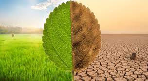 Foto - Barbaroslar oyuncusu krizin izini sürüyor! Vatandaşlara çağrı