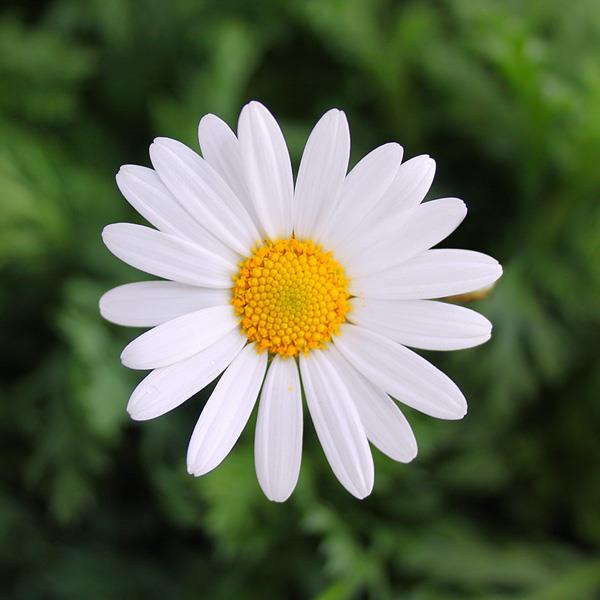 Foto - Bardaktaki gizli tehlike! Eğer böyle yapanlar varsa…