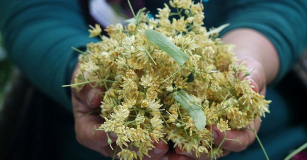 Foto - Bardaktaki gizli tehlike! Eğer böyle yapanlar varsa…