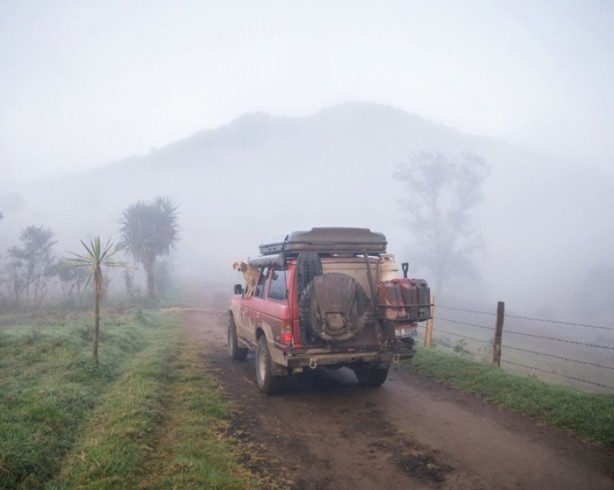 Foto - Barınaktan kurtarılan Maddie'nin içinizi ısıtacak fotoğrafları