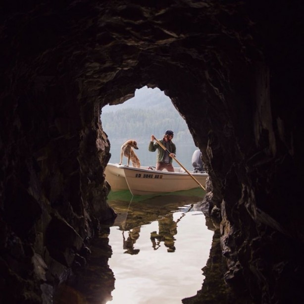 Foto - Barınaktan kurtarılan Maddie'nin içinizi ısıtacak fotoğrafları