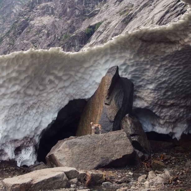 Foto - Barınaktan kurtarılan Maddie'nin içinizi ısıtacak fotoğrafları