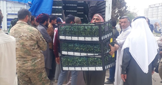 Foto - Barış Pınarı Harekatı bölgesinde tarımsal çeşitlilik artırılıyor