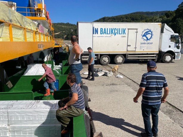 Foto - Bartın'da balıkçılar, limana palamut dolu kasalarla döndü