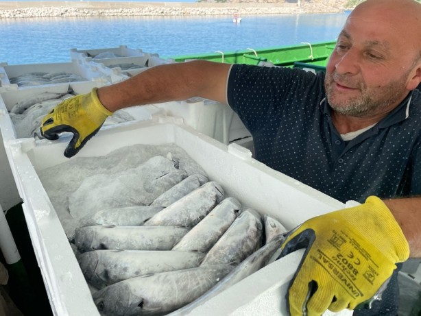 Foto - Bartın'da balıkçılar, limana palamut dolu kasalarla döndü