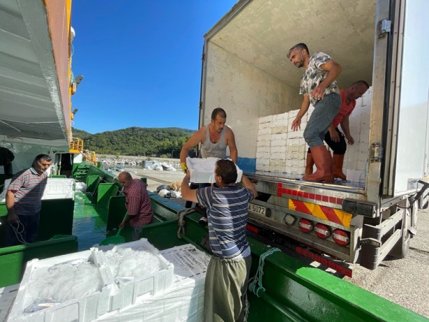 Foto - Bartın'da balıkçılar, limana palamut dolu kasalarla döndü