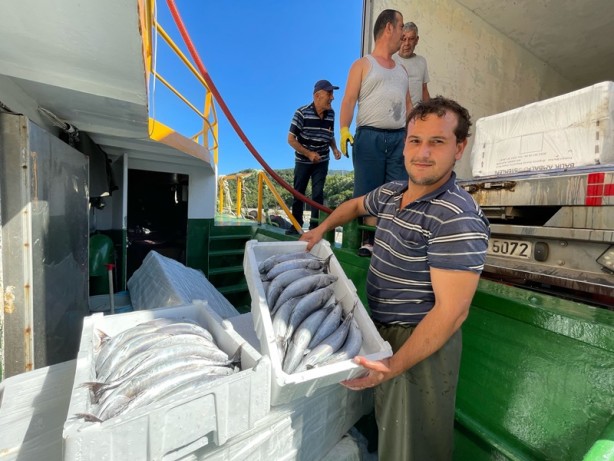 Bartın'da balıkçılar, limana palamut dolu kasalarla döndü