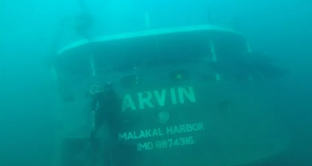 Bartın'da batan yük gemisi su altı kamerasıyla görüntülendi
