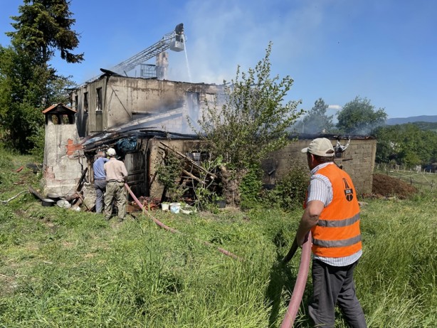 Foto - Bartın'da yangın! Hayvanlar telef oldu