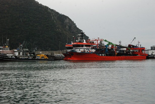 Foto - Bartın'dan tonlarca çıkarıldı! Vatandaşlara ücretsiz dağıtıldı