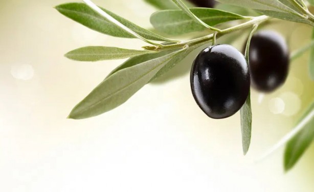 Foto - Baş ağrısına neden olan 12 gıda