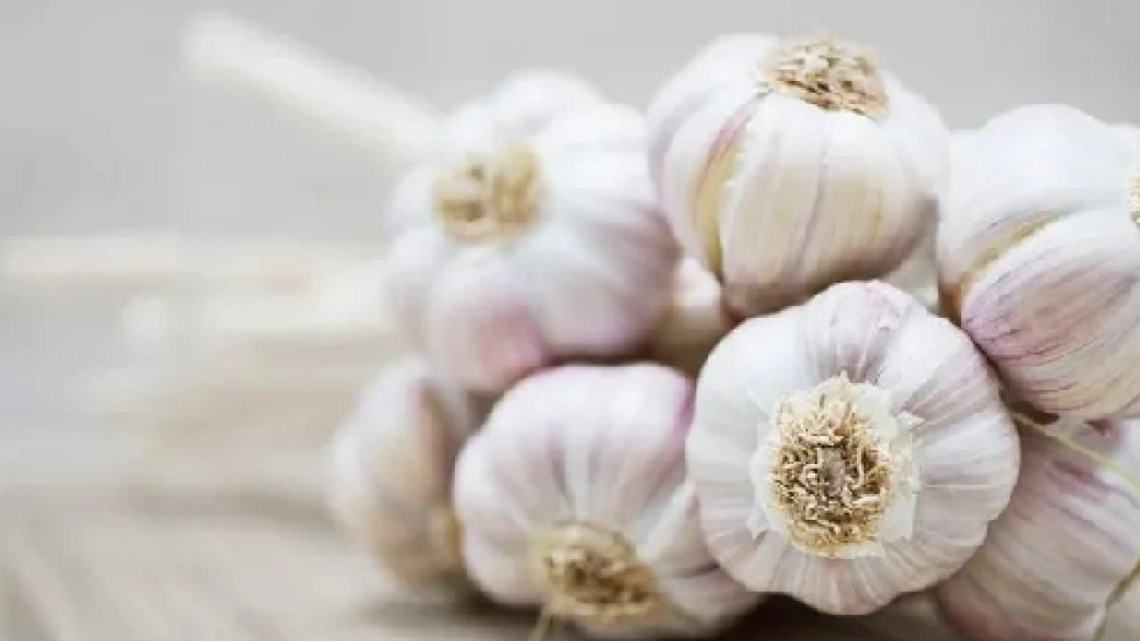 Foto - Baş ağrısını şıp diye kesiyor! Japonların yüzyıllardır vazgeçemediği işte o yöntem…