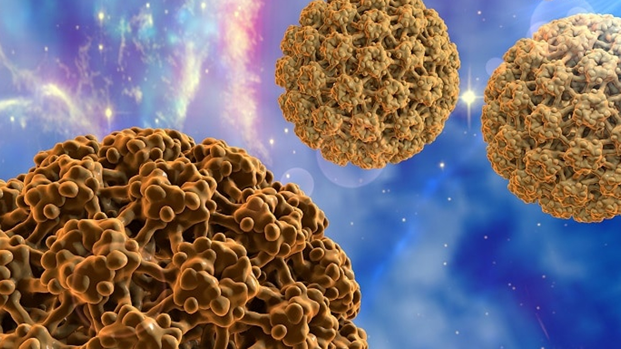 Foto - Baş-Boyun kanserlerinde de risk faktörü: HPV aşısı başvuruları devam ediyor 