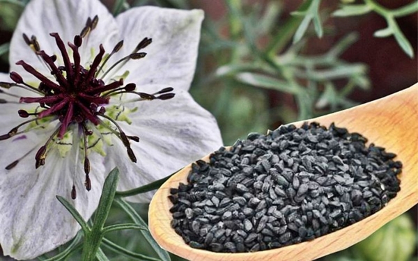 Foto - Baş ve diş ağrısını bıçak gibi kesiyor! İşte o doğal çözümler