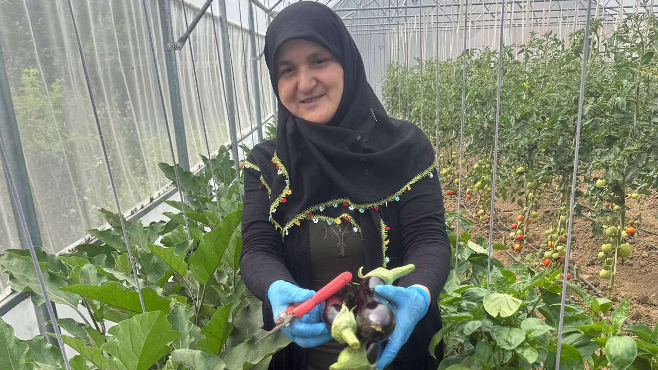 Foto - Başarı hikayesi! İstanbul’u bıraktı Giresun'da hayalini gerçekleştirdi