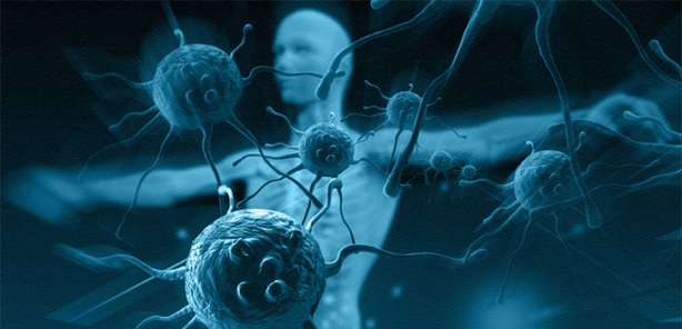 Foto - Başarının sırrı biyolojik saatte! Hangi saatte ne yapmalıyız?