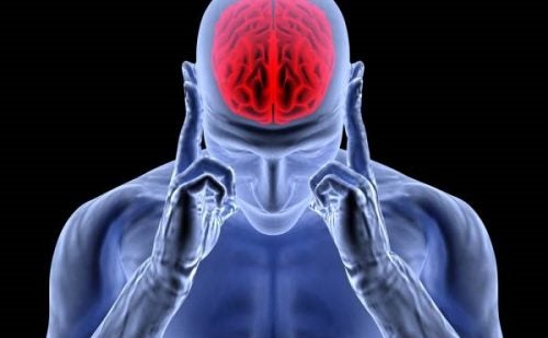 Foto - Başarının sırrı biyolojik saatte! Hangi saatte ne yapmalıyız?