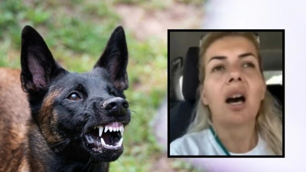 Başıboş Buket Özgünlü tutuklandı