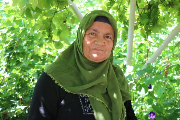 Foto - Başıboş köpekler dehşet saçıyor! Köylülerin hayvanlarına dadandılar