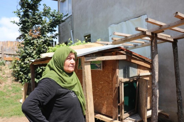 Foto - Başıboş köpekler vatandaşları isyan ettirdi! Çok sayıda hayvanı telef ettiler