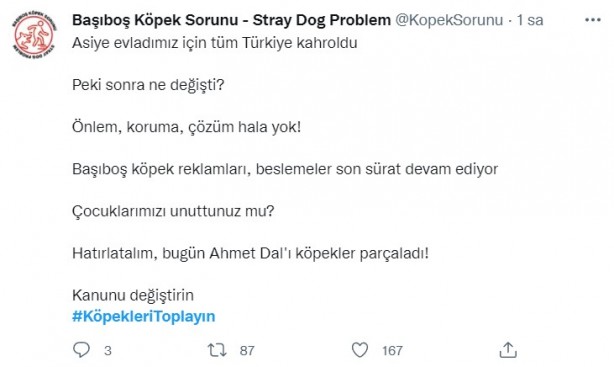Foto - Başıboş köpeklerin 7 yaşındaki çocuğu ağır yaralamasının ardından vatandaşlar ayağa kalktı!