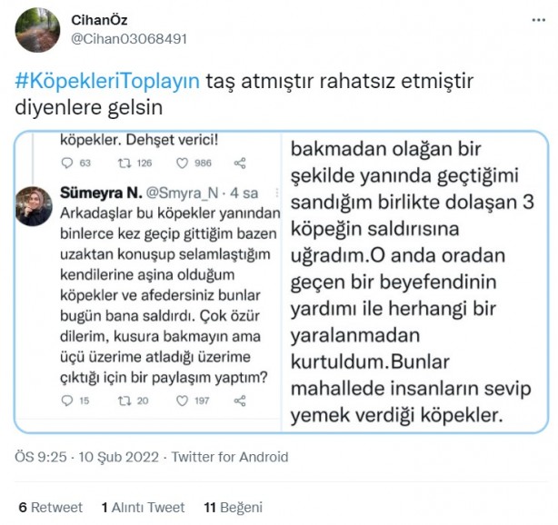 Foto - Başıboş köpeklerin 7 yaşındaki çocuğu ağır yaralamasının ardından vatandaşlar ayağa kalktı!