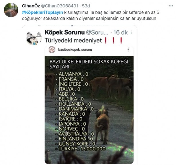 Foto - Başıboş köpeklerin 7 yaşındaki çocuğu ağır yaralamasının ardından vatandaşlar ayağa kalktı!