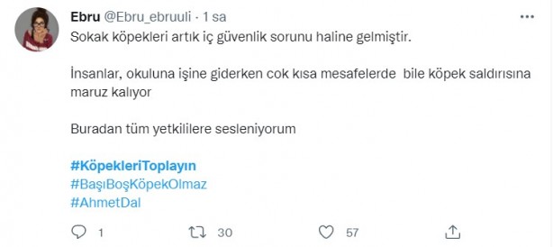 Foto - Başıboş köpeklerin 7 yaşındaki çocuğu ağır yaralamasının ardından vatandaşlar ayağa kalktı!