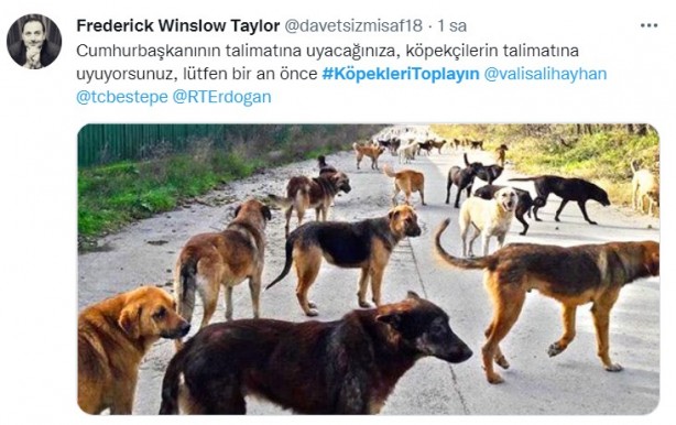 Foto - Başıboş köpeklerin 7 yaşındaki çocuğu ağır yaralamasının ardından vatandaşlar ayağa kalktı!