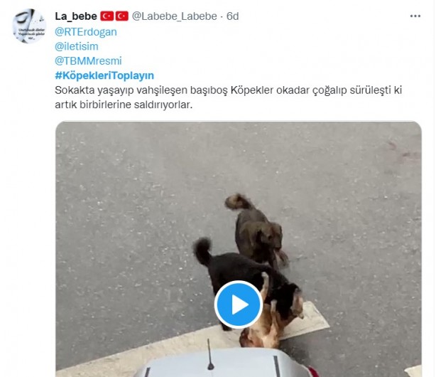 Foto - Başıboş köpeklerin 7 yaşındaki çocuğu ağır yaralamasının ardından vatandaşlar ayağa kalktı!