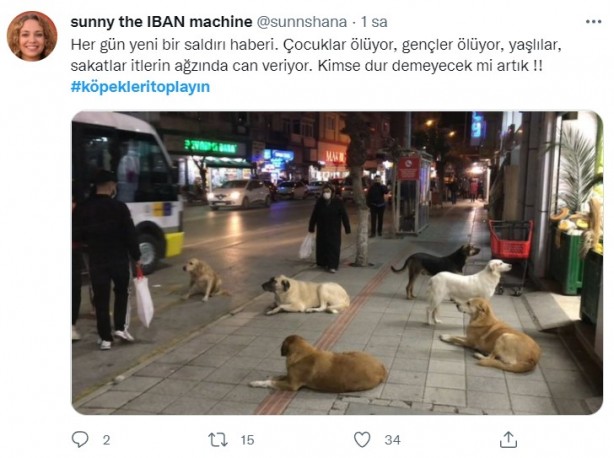 Foto - Başıboş köpeklerin 7 yaşındaki çocuğu ağır yaralamasının ardından vatandaşlar ayağa kalktı!