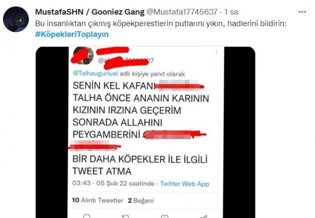Foto - Başıboş köpeklerin 7 yaşındaki çocuğu ağır yaralamasının ardından vatandaşlar ayağa kalktı!