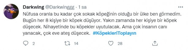 Foto - Başıboş köpeklerin 7 yaşındaki çocuğu ağır yaralamasının ardından vatandaşlar ayağa kalktı!
