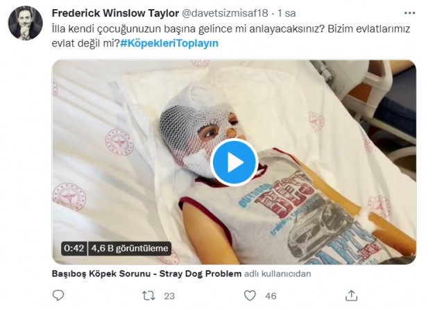 Foto - Başıboş köpeklerin 7 yaşındaki çocuğu ağır yaralamasının ardından vatandaşlar ayağa kalktı!