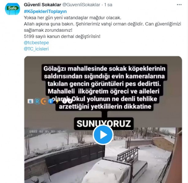 Foto - Başıboş köpeklerin 7 yaşındaki çocuğu ağır yaralamasının ardından vatandaşlar ayağa kalktı!