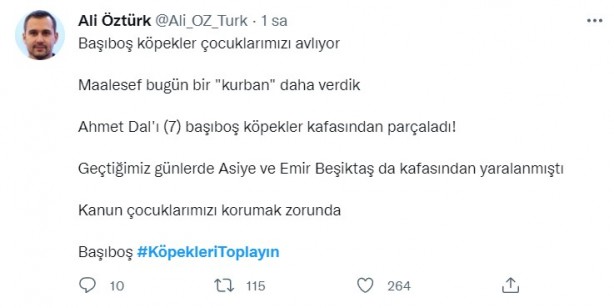 Foto - Başıboş köpeklerin 7 yaşındaki çocuğu ağır yaralamasının ardından vatandaşlar ayağa kalktı!