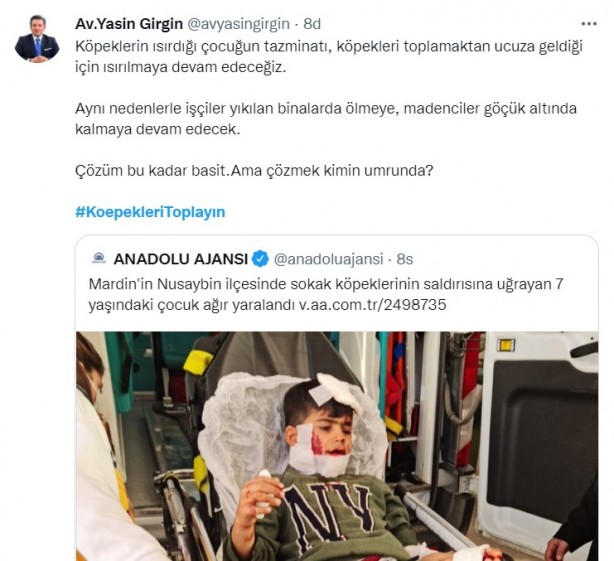 Foto - Başıboş köpeklerin 7 yaşındaki çocuğu ağır yaralamasının ardından vatandaşlar ayağa kalktı!