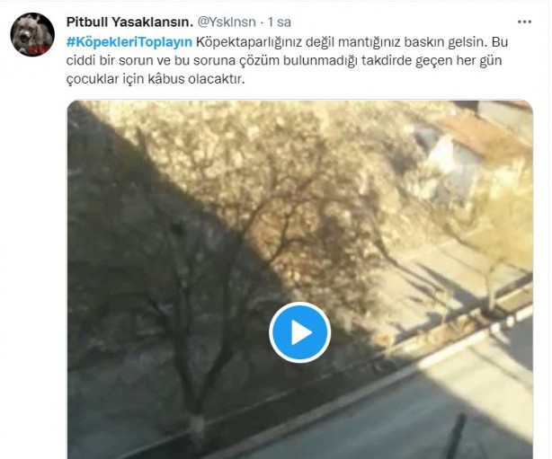 Foto - Başıboş köpeklerin 7 yaşındaki çocuğu ağır yaralamasının ardından vatandaşlar ayağa kalktı!