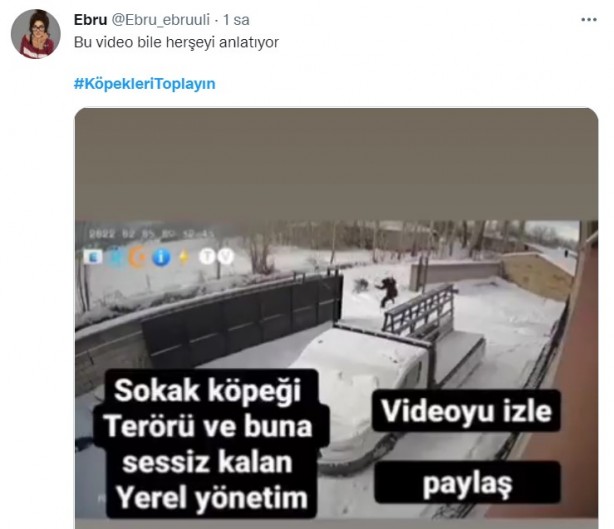 Foto - Başıboş köpeklerin 7 yaşındaki çocuğu ağır yaralamasının ardından vatandaşlar ayağa kalktı!