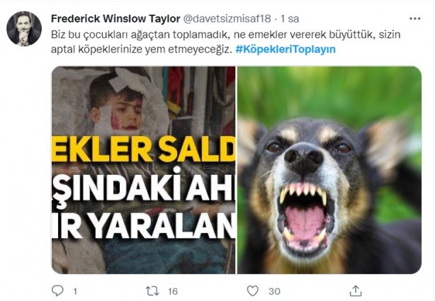 Foto - Başıboş köpeklerin 7 yaşındaki çocuğu ağır yaralamasının ardından vatandaşlar ayağa kalktı!