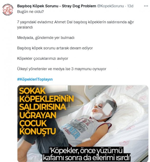 Foto - Başıboş köpeklerin 7 yaşındaki çocuğu ağır yaralamasının ardından vatandaşlar ayağa kalktı!