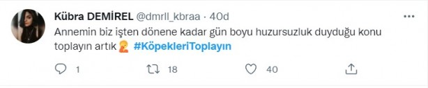 Foto - Başıboş köpeklerin 7 yaşındaki çocuğu ağır yaralamasının ardından vatandaşlar ayağa kalktı!