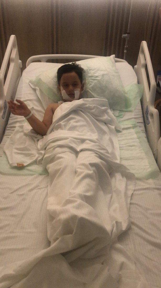 Foto - Köpekperestlerin barınaklardan kaçırdığı pitbull'lar dehşet saçıyor! Küçük çocuğun dudağı ve kulağı parçalandı