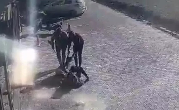 Foto - Başıboş Pitbull'lar yine dehşet saçtı