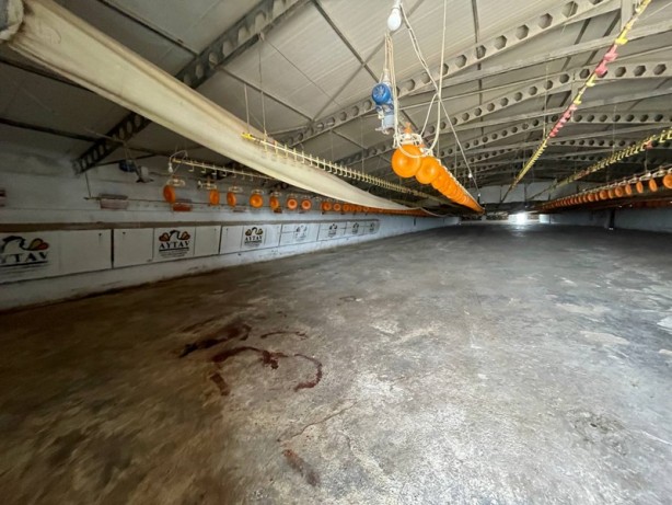 Başına kürekle vurulan kadın hayatını kaybetti