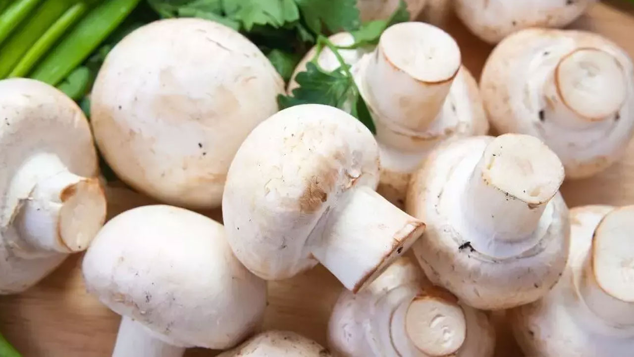 Basit ama etkili bir yöntem! İşte mantarı yıkamadan temizlemenin sırrı