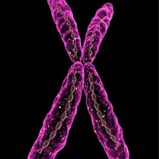 Foto - Basit gibi görünse de durum ciddi! Bu belirtiler kanserin habercisi olabilir