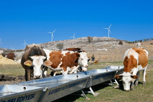 Foto - Başkan Büyükkılıç'tan Tarım ve Hayvancılığa 100 Milyon TL'nin Üzerinde Yatırım