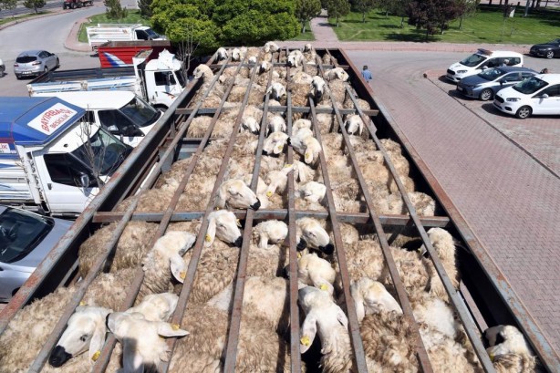 Foto - Başkan Büyükkılıç'tan Tarım ve Hayvancılığa 100 Milyon TL'nin Üzerinde Yatırım