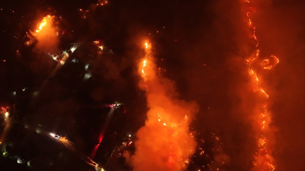 Foto - Başkan Erdoğan orman yangınlarının sebebini açıkladı